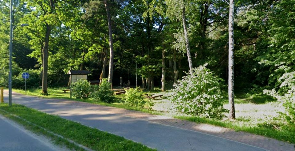 Działka przy lesie