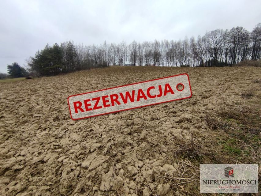 Zdjęcie 3