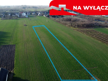 Działka Gołąb