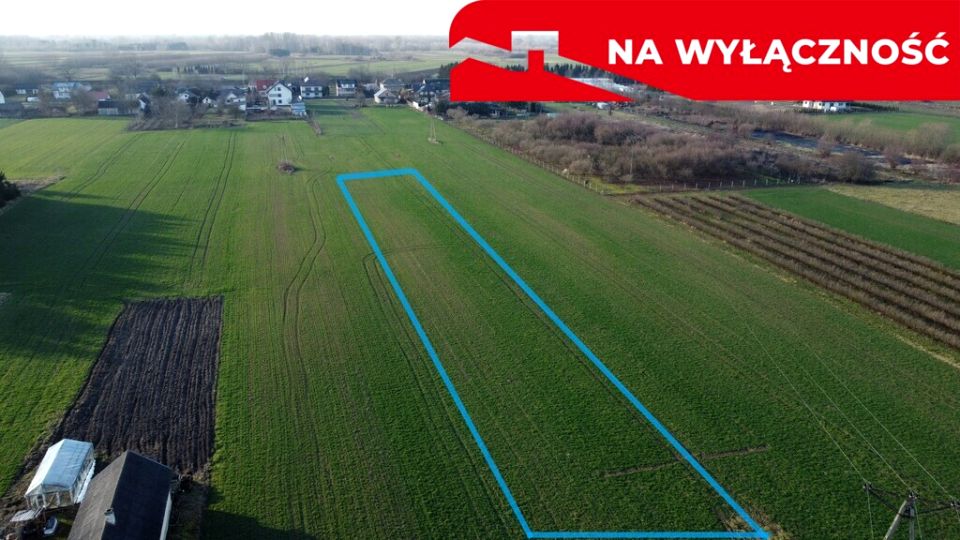 Działka Gołąb