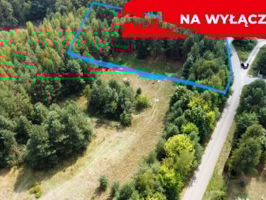 Działka Kowala