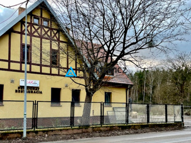 Działka przy lesie