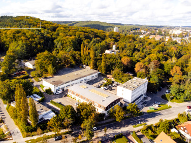 Lokal Sopot
