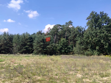 Działka przy lesie