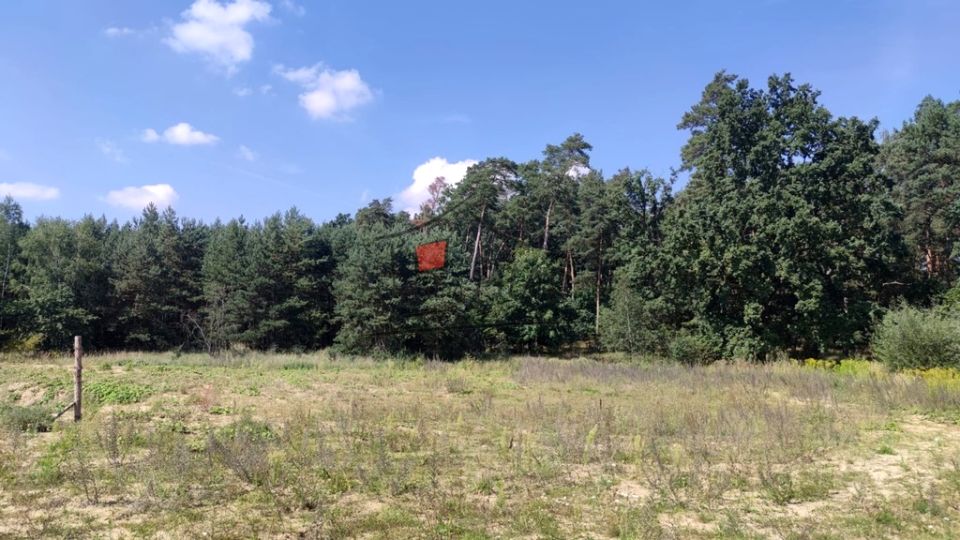 Działka przy lesie