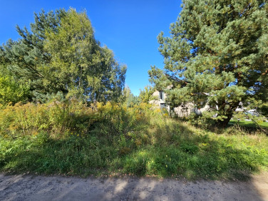 Działka Mieszkowice