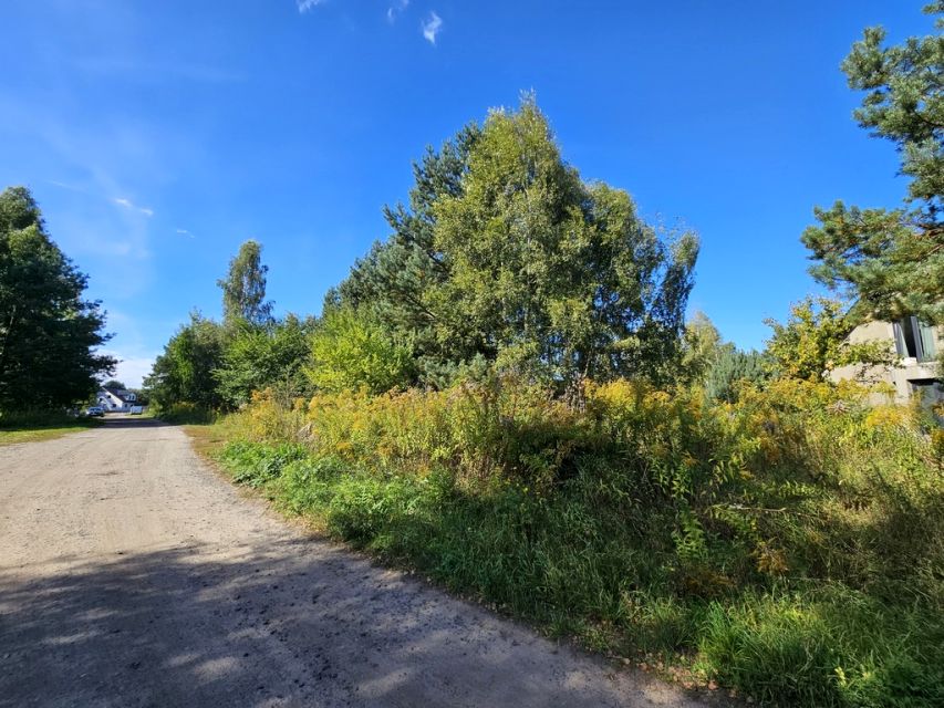 Działka Mieszkowice