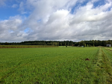 Działka budowlano-rolna Łążek