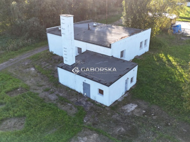 Lokal Wałbrzych