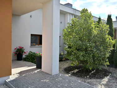 Dom Daszewice