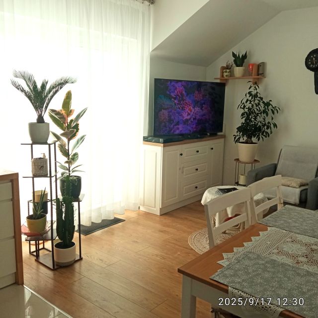 Mieszkanie Siemianice