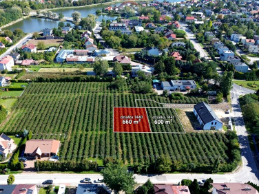 Działka SKIERNIEWICE