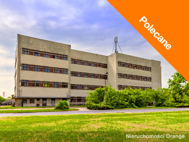 Lokal Opole