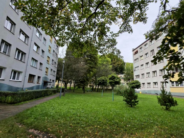 Mieszkanie Katowice