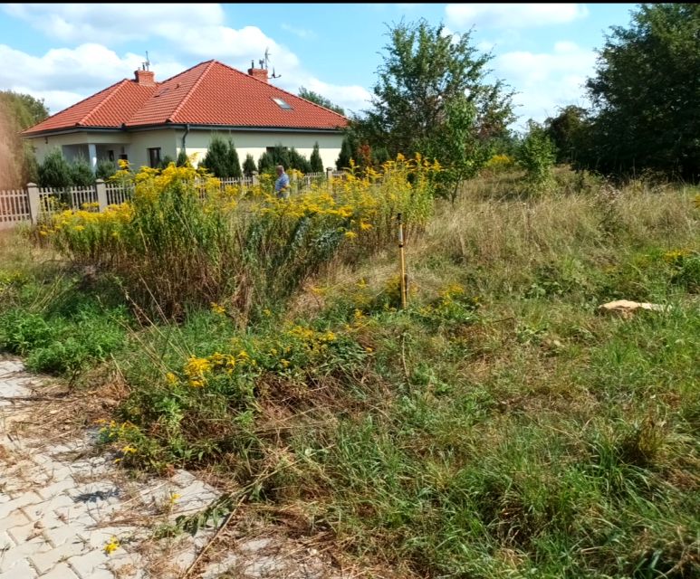 Działka budowlana Siewierz sprzedam