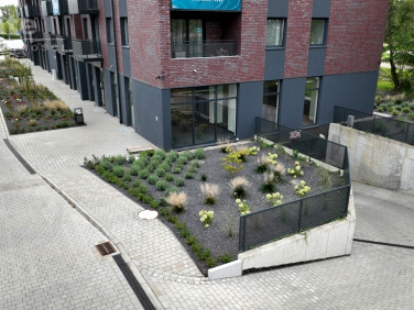 Lokal Szczecin