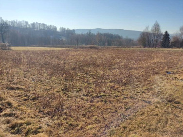 Działka budowlana Klecza Dolna