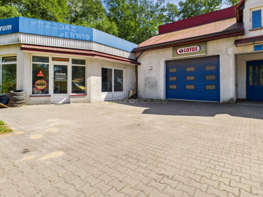 Lokal Bierzewice