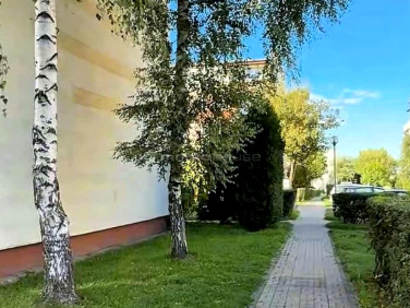 Mieszkanie Bielsko-Biała