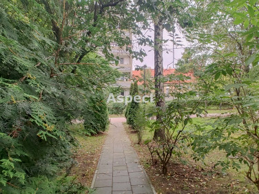 Mieszkanie Gliwice sprzedaż