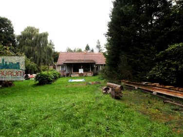 Dom Żary
