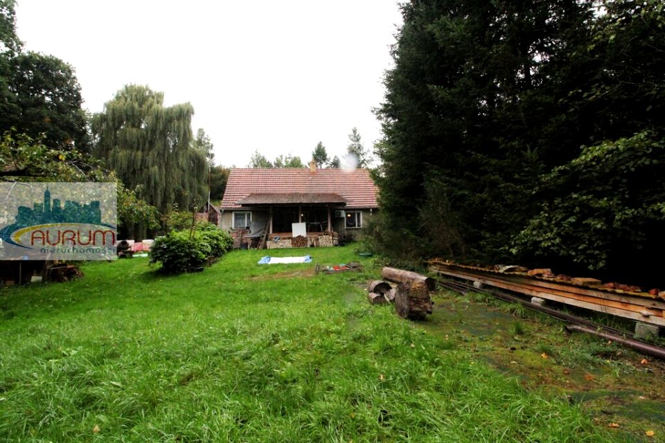 Dom Żary