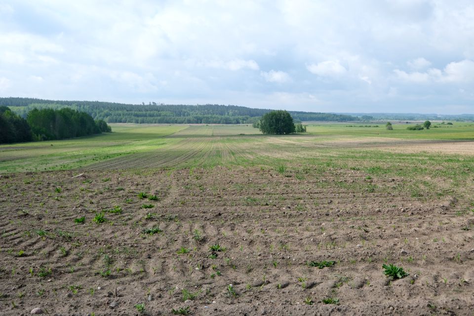 Działka budowlano-rolna Studzianki