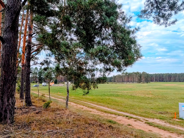 Działka Trzebiszewo