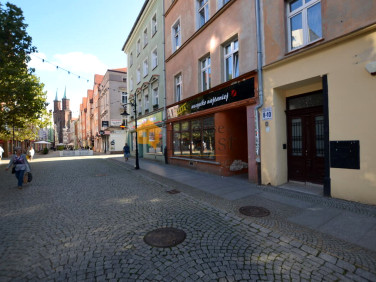 Lokal Legnica