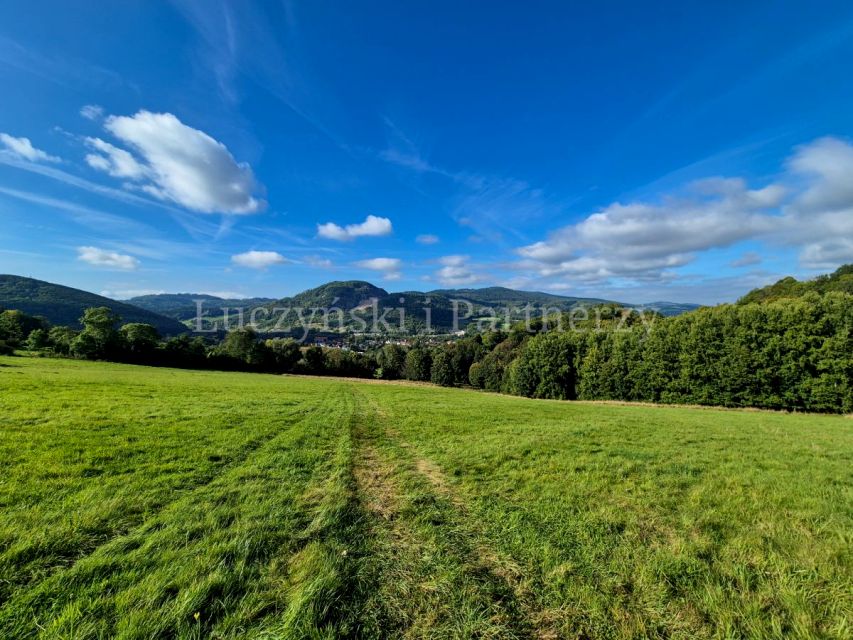 Działka Wojcieszów