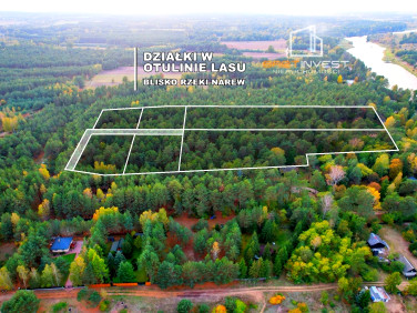 Działka rekreacyjna Wólka-Wojciechówek sprzedam