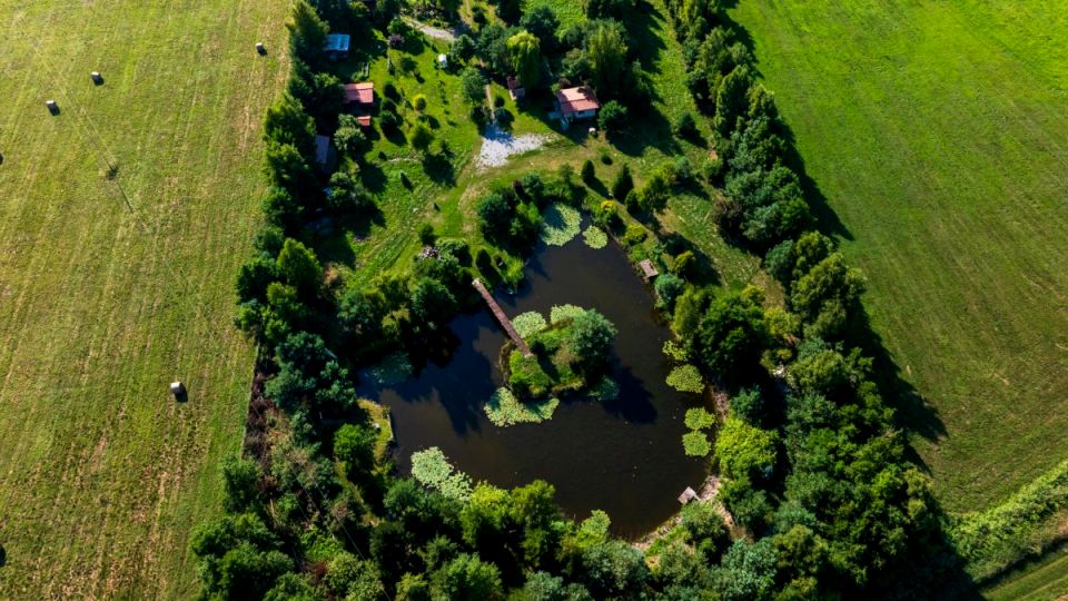 Działka siedliskowa Strzeżewo