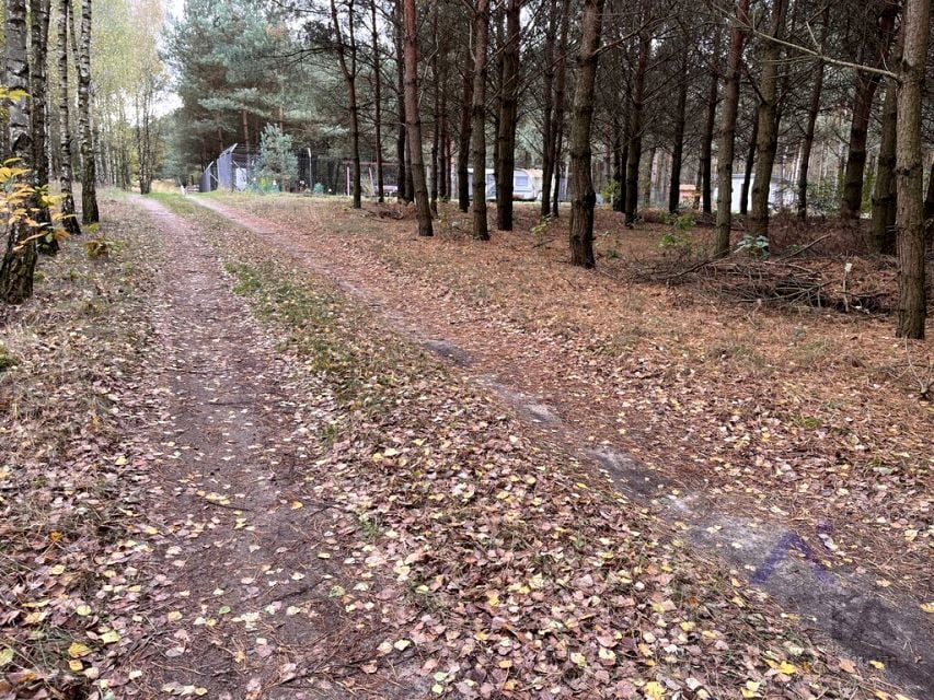 Zdjęcie 3