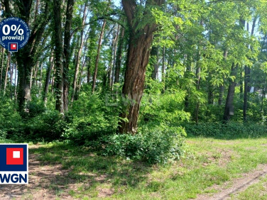 Działka budowlana Sokolniki-Las