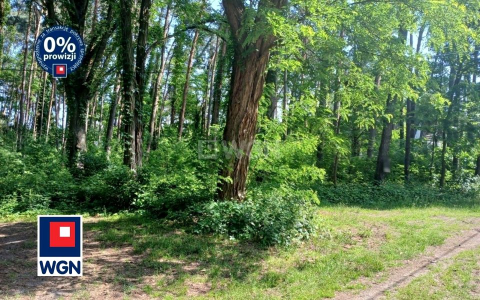 Działka budowlana Sokolniki-Las