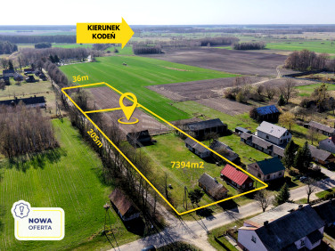 Dom Kostomłoty sprzedaż