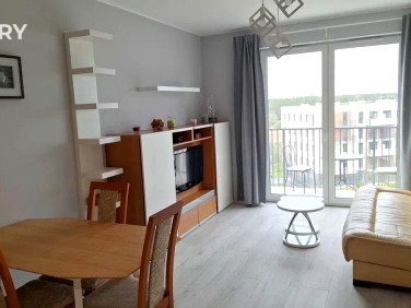 Mieszkanie apartamentowiec wynajem