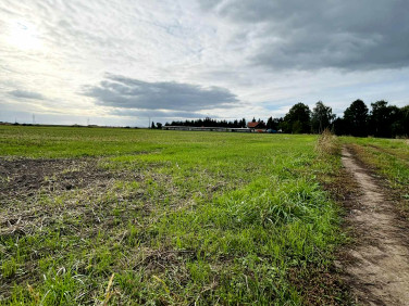 Działka budowlana Ludów Śląski