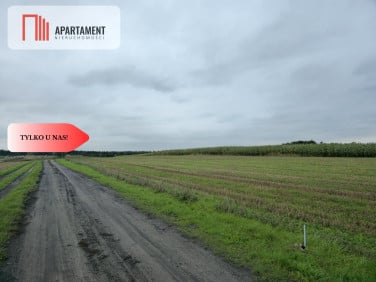 Działka inna Warlubie
