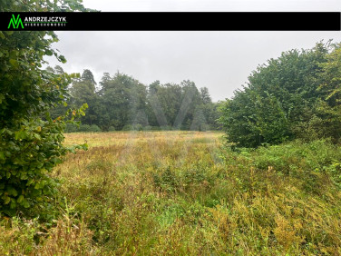 Działka rolna Świecino