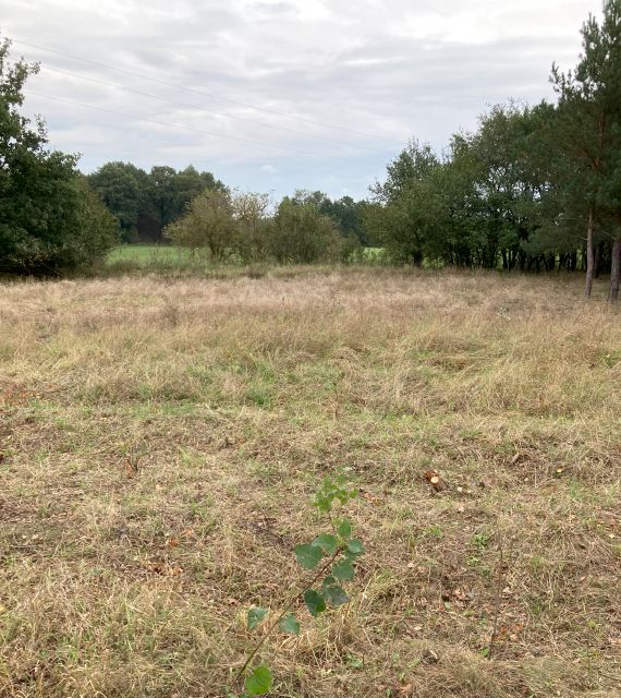 Działka budowlana Rzywno