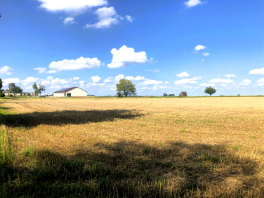 Działka inwestycyjna Sędzinko