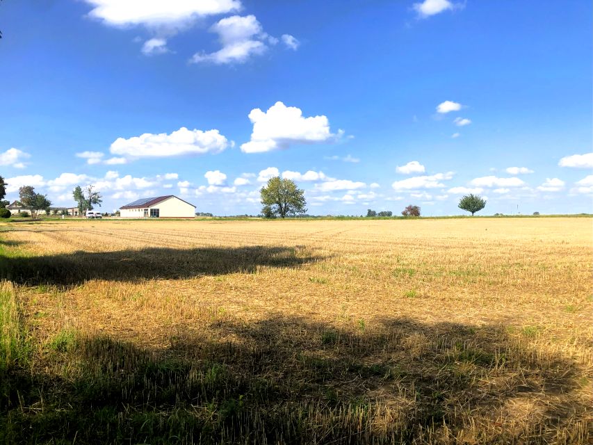 Działka inwestycyjna Sędzinko