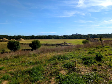 Działka rolna Koronowo