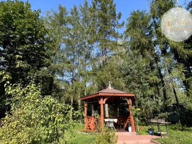 Lokal Sosnowiec