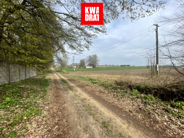 Działka budowlana Wielgolas