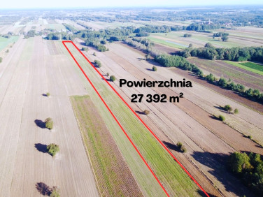 Działka Lipka