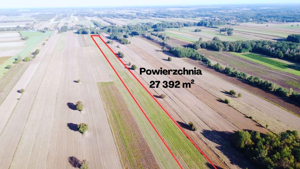 Działka Lipka