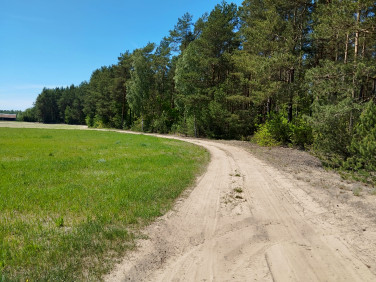 Działka budowlana Zalesie