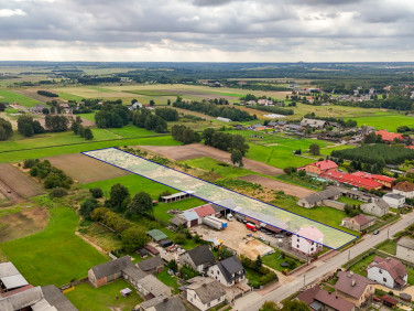 Działka Borowianka